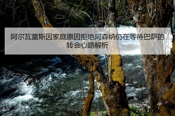 阿尔瓦雷斯因家庭原因拒绝阿森纳仍在等待巴萨的转会心路解析
